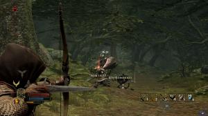 lord-of-the-rings-war-in-the-north-screenshot