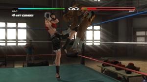 dead-or-alive-5-last-round-screenshot