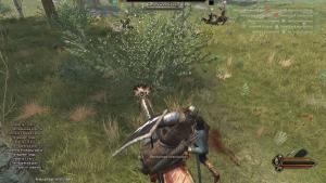 mount--blade-ii-bannerlord-screenshot