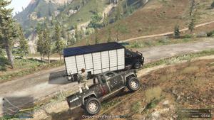 pc-136-grand-theft-auto-v-online-finansirovanie---trava