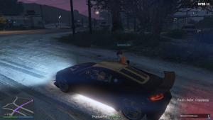 pc-152-grand-theft-auto-v-online-bryuliki-trevoru