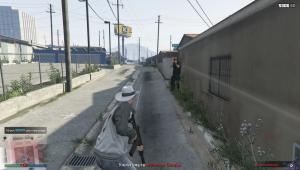 pc-63-grand-theft-auto-v-online-nikakih-problem