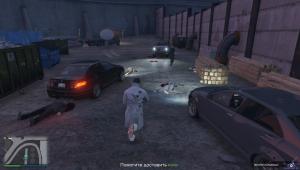 pc-49-grand-theft-auto-v-online-zapravlennyy