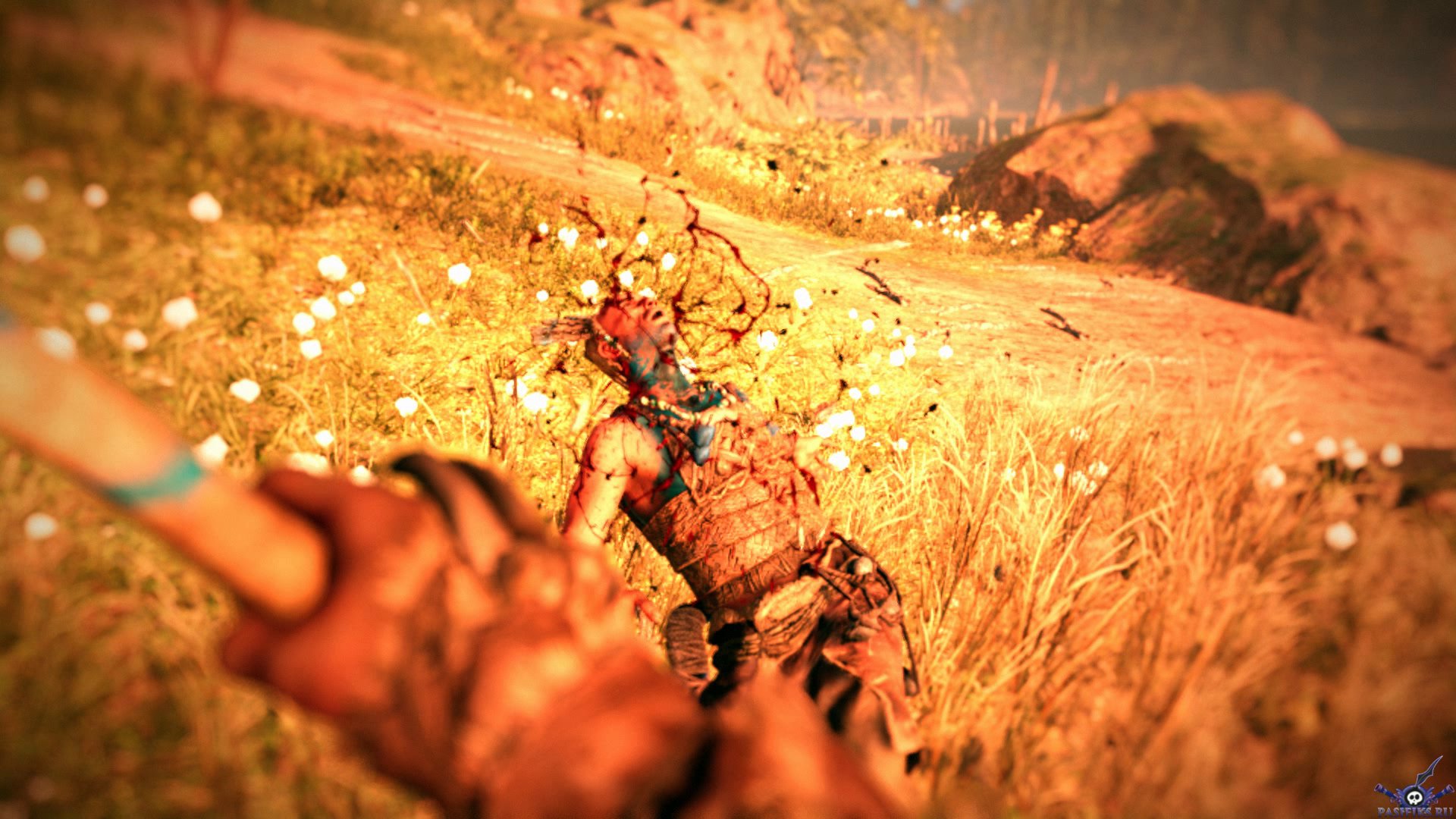 pc-far-cry-primal-avanposty