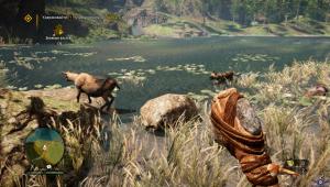 pc-2-far-cry-primal-glubokie-rany