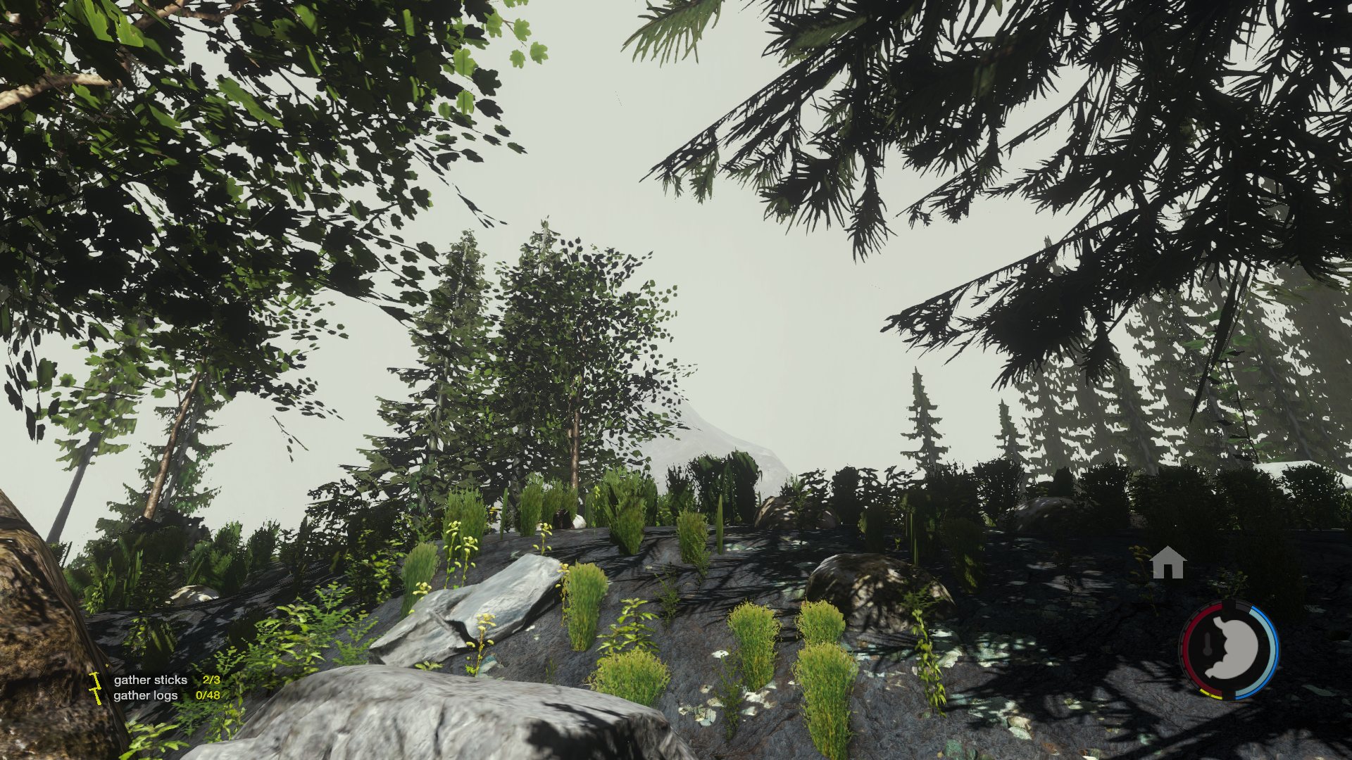 the-forest-screenshot