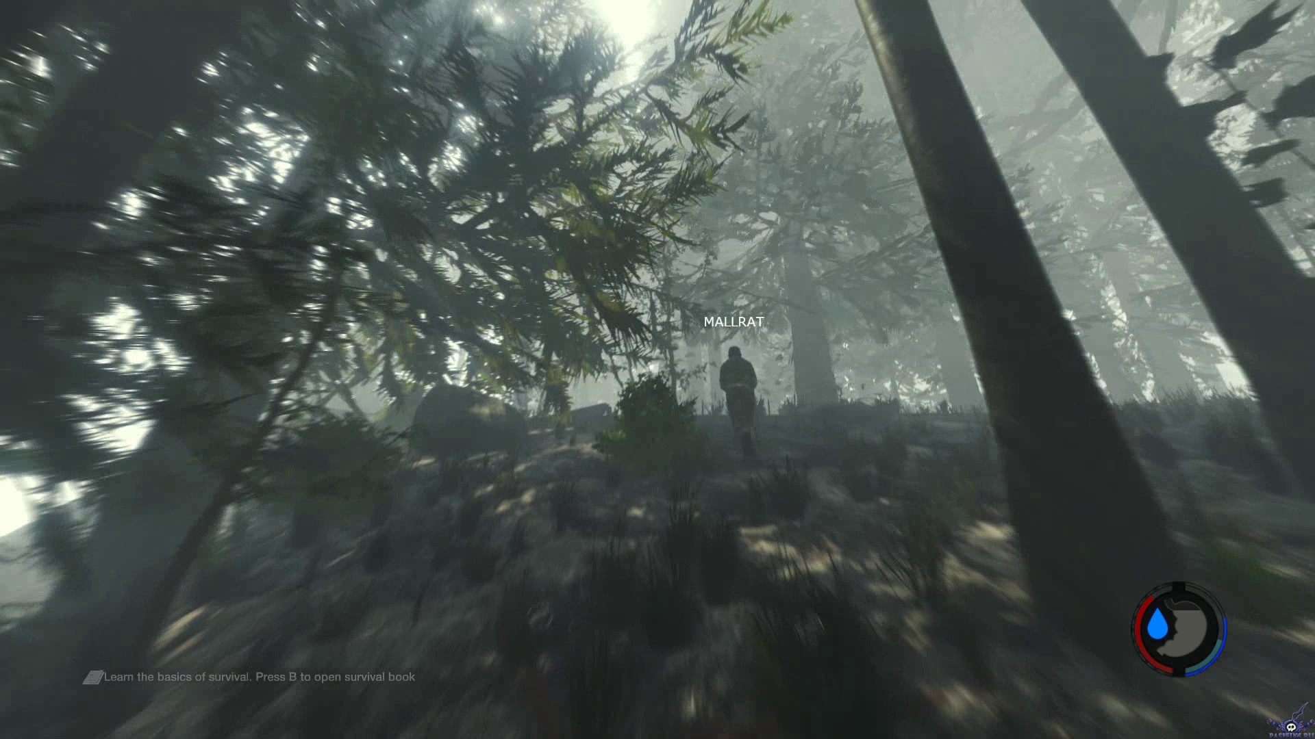 the-forest-screenshot