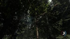 the-forest-screenshot