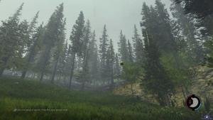 the-forest-screenshot