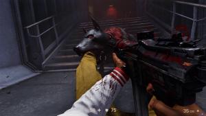 pc-38-dlc-wolfenstein-ii-the-new-colossus---priklyucheniya-strelka-djo-v-plenu