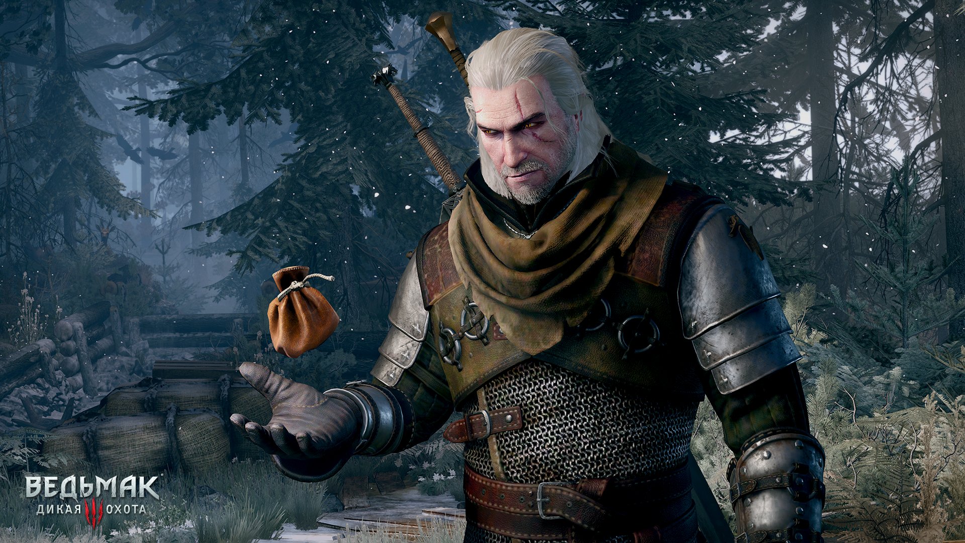 the-witcher-3-wild-hunt-oficialnye-skrinshoty