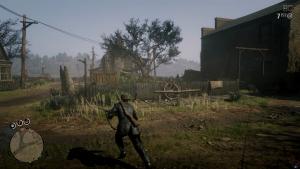 pc-20-red-dead-redemption-2-online-co-op---dostavka-i-poterya-gruza