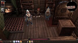 pc-prohojdenie-divinity-original-sin-2-co-op-viks-i-malrat