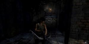 pc-11-prohojdenie-tomb-raider--survival-edition