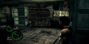 pc-1-1-resident-evil-5-co-op---kpp